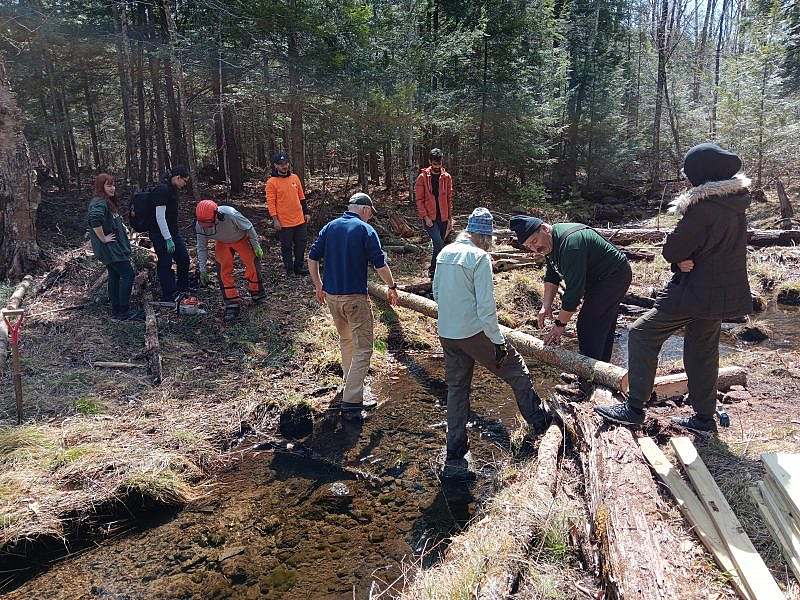 A group of volunteers stand around a creek with construction wood, while planning out their bridge construction. 
