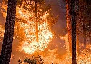 fire