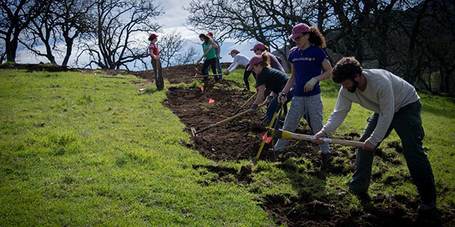 Get Involved like this group of college students building a new trail during their spring break.