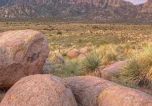 Organ Mountains