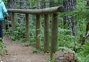 rtp trail